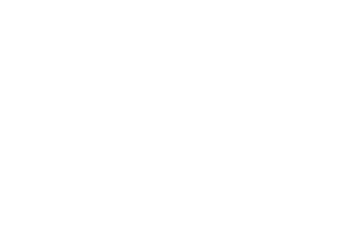 Voii Logo